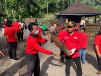 Ratusan ASN Pemkab Tabanan Kompak Gotong-Royong Bersihkan Lokasi Terdampak Bencana Bencana Alam