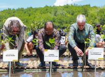 Gubernur Koster Dampingi Menteri Energi, Iklim dan Lingkungan Inggris Serta Menteri LHK RI Tanam Mangrove di Simbar Segara Gubernur Koster