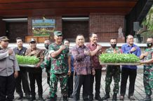 Tekan Inflasi, Bupati Tamba Bagikan 2.000 Bibit Cabai ke Desa/Kelurahan se-Jembrana Bibit Cabai