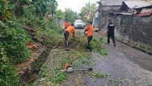 Hujan Deras di Buleleng Sebabkan Banjir Hingga Pohon Tumbang Huajn