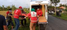 Seorang Petani Ditemukan Tewas di Sawah Petani Tewas