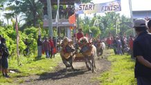 Ijogading Timur Rebut Mekepung Jembrana Cup 2022 Jembrana CUP 2022