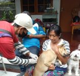 Jelang Pertemuan KTT G20, Ribuan HPR di Kuta Dapat Vaksinasi Rabies Badung