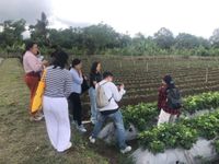Mahasiswa Magister Agribinis Unud Praktikum Agrowisata di La Fresa Kintamani Agribinis Unud