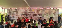 FKH Unud Turut Serta dalam Kegiatan Gebyar Vaksinasi Penyakit Mulut dan Kuku di Buleleng fkh unud