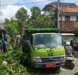 Antisipasi Pohon Tumbang di Musim Penghujan, DLHK Kota Denpasar Lakukan Perompesan Pohon di Jalan Katrangan Denpasar