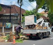 DLHK Kota Denpasar Pangkas Pohon Keropos di Kelurahan Sumerta DLHK Kota Denpasar