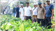 Bupati Tamba Cek Lahan Penanaman Bibit Kakao Program 200 Hektar Desa Ekasari sebagai Desa Kakao Desa Kakao