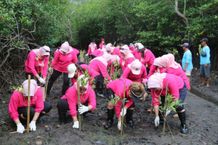 Peringati HUT Ke-22, Periskapura I Laksanakan Kegiatan Sosial dan Lingkungan Untuk Masyarakat Sekitar Bandara I Gusti Ngurah Rai mangrove
