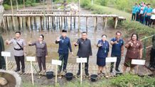 Kembalikan Kelestarian Alam, Bupati Tamba Tanam Seribu Pohon di Kawasan Mangrove Mangrove