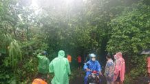 Pohon Tumbang Tutup Akses Jalan di Desa Bontihing Selama Dua Jam Pohon Tumbang