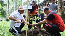 HUT KORPRI dan PGRI, Tanam 1000 Pohon di Mantu Cager Tanam 1000 pohon