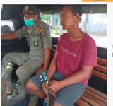 Ganggu Ketertiban Lalu Lintas, Satpol PP Denpasar Tertibkan Pengamen ketertiban lalu lintas