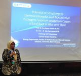 Prof. Retno Kawuri Ciptakan Produk Biokontrol Penyebab Busuk Daun Lidah Buaya Prof. Retno Kawuri