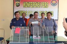 Gasak Toko, Residivis Spesialis Pembobol Rumah Kosong Kembali Masuk Bui Maling