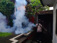 Antisipasi Demam Berdarah, Puskesmas II Denpasar Utara Lakukan Foging Focus fogging
