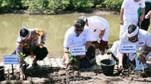Tanam Bakau, Pemkab Jembrana Pusatkan Perayaan Tumpek Wariga di Pura Kembar Budeng tanam bakau