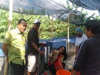 Bentuk Ketahanan Pangan, Dangin Puri Klod Panen 700 Ekor Ikan Lele panen lele