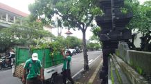 Jumali Desa Sumerta Kelod, Respon Cepat Tangani Pohon Tumbang di Jalan Hayam Wuruk Jumali Desa Sumerta Kelod