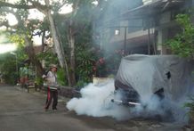 Cegah Penyebaran Virus DBD, Kelurahan Sesetan Laksanakan Fogging Fokus fogging