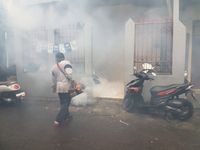 Cegah Penyebaran Virus DBD, Desa Dauh Puri Kaja Laksanakan Foging foging