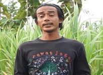UGM Dampingi Warga di KHDTK Ngawi Kembangkan Pakan Ternak dan Teknologi Pascapanen Jahe UGM