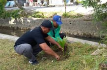 Kelurahan Kesiman Gotong Royong Lakukan Aksi Penanaman Pohon dan Kerja Bakti gotong royong