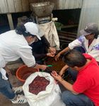 Produsen Kopi di Bali Diingatkan Ancaman Akrilamida Kopi