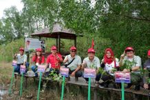 Lestarikan Habitat Bekantan, Yayasan AHM Tanam Seribu Mangrove Rambai Yayasan AHM