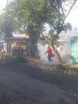 Antisipasi Demam Berdarah, Puskesmas II Denpasar Timur Lakukan Fogging Pelaksanaan Fogging