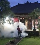 Tekan Peningkatan Kasus DBD, Puskesmas III Denpasar Utara Fogging Focus Belasan Rumah Warga DBD