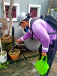 Cegah Penyebaran Virus Dengue, Puskesmas 4 Denpasar Selatan Runtin Laksanakan PSN PSN