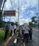 Pemkot Denpasar Gencarkan Penanaman Pohon Perindang, Dukung Penataan Wajah Kota Kurangi Polusi Penanaman Pohon