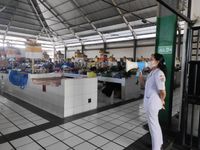 Kasus DBD Meningkat Puskesmas II Denpasar Selatan Menggelar Edukasi Penanganan DBD Edukasi DBD