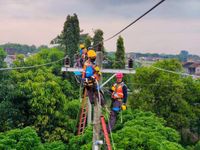 Bali Pulih dari Covid-19, PLN Catat Beban Pemakaian Listrik Kian Meningkat PLN