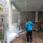 Antisipasi Perkembangan DB di Musim Penghujan, Pemkot Denpasar Gencar Lakukan Fogging Fogging