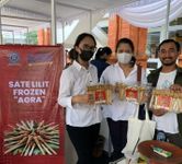 Punya Ide Kreatif dan Inovatif, Mahasiswa FTP Kembangkan Sate Lilit Frozen ftp unud