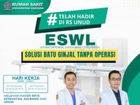 Pemecah Batu Ginjal Tanpa Operasi, RS Unud Sediakan Layanan ESWL rs unud