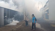 Antisipasi Demam Berdarah, Puskesmas di Denpasar Gencar Lakukan Fogging dan PSN Fogging dan PSN