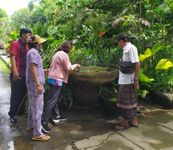 Tindaklanjuti Temuan Jentik di Pot Pedagang Bunga, Puskesmas II Densel Lakukan Gertak PSN Jentik Nyamuk