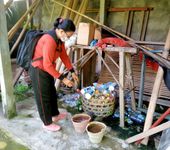 Antisipasi Demam Berdarah, Kelurahan Pedungan Gencar Lakukan PSN dan Larvasida Lakukan PSN dan Larvasida