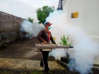 Cegah Penyebaran Virus DBD, Kelurahan Penatih Laksanakan Fogging Fogging