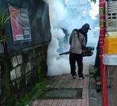 Respon Cepat Temuan Kasus DBD, Puskesmas II Denpasar Selatan Lakukan Fogging Fokus Giat Fogging Fokus