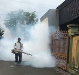 Cegah Peningkatan Kasus DB di Musim Penghujan, Puskesmas III Denpasar Selatan Lakukan Fogging Fogging