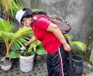 Optimalkan Pencegahan Virus DBD, Puskesmas IV Denpasar Selatan Laksanakan PSN di Kelurahan Pedungan Laksanakan PSN