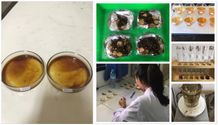 Riza Febriyani Sukses Raih Gelar Sarjana dengan Meneliti Karakteristik Teh Hitam La Vie En Rose ftp unud