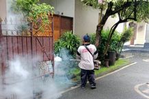 Tindak Lanjuti Laporan Kasus Demam Berdarah, Puskesmas II Densel Lakukan Fogging Giat Fogging