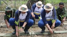 Wujudkan Bumi Yang Lebih Hijau, PT Asahimas Chemical Kali ke-3 Galakkan Aksi Penanaman Mangrove Bersama Masyarakat Menanam Mangrove