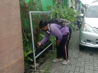Puskesmas IV Densel Terjunkan Jumantik Pantau dan Sosialisasi DBD ke Kelurahan Pedungan Jumantik