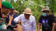 Budidaya Lebah Madu Apis Melifera di Jembrana Tembus Pasar Ekspor Madu